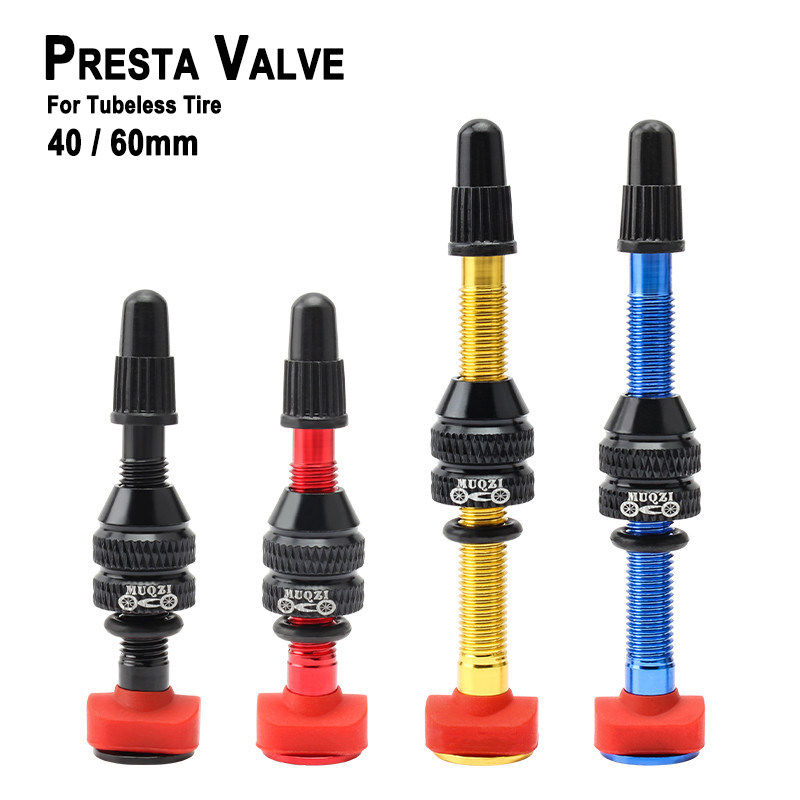 Mountain Biking In French - MTB Mountainbike Presta Ventiel Tubeless Band