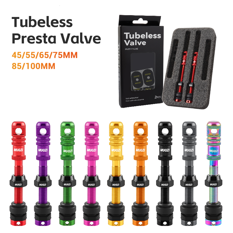Legering Fiets Tubeless Presta - Mountain Biking In French recensie en prijs