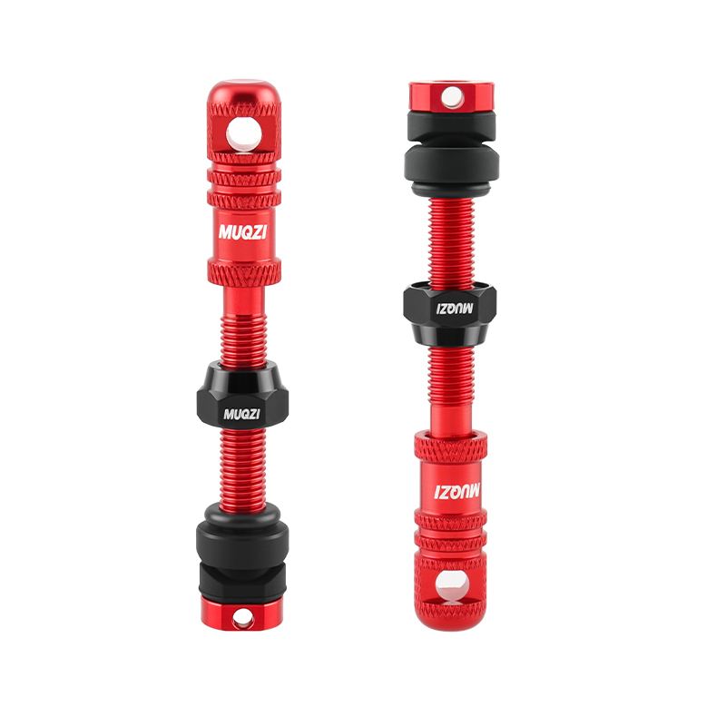 Legering Fiets Tubeless Presta - Mountain Biking In French recensie en prijs